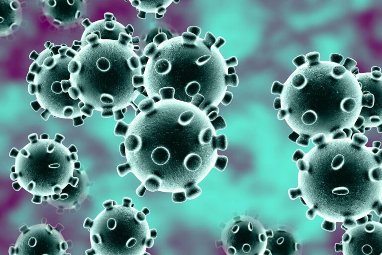 Need Boston Movers During the COVID-19 Outbreak?